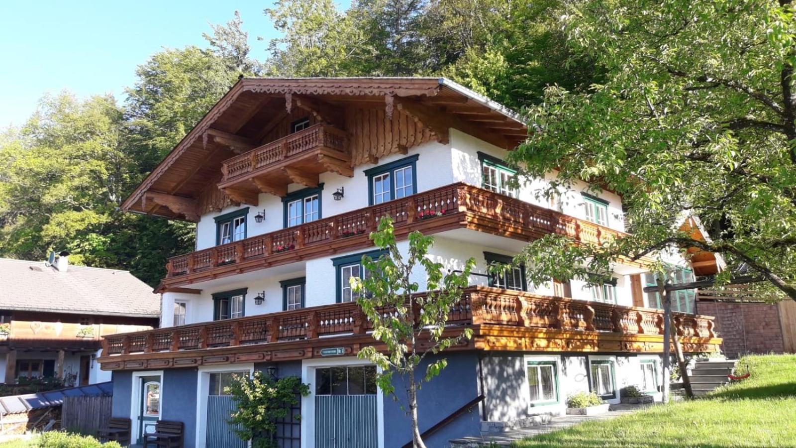 Ferienwohnung Appesbacher Sankt Wolfgang im Salzkammergut Экстерьер фото